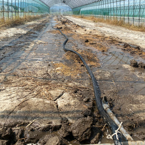 🍓新たな取り組み🍓