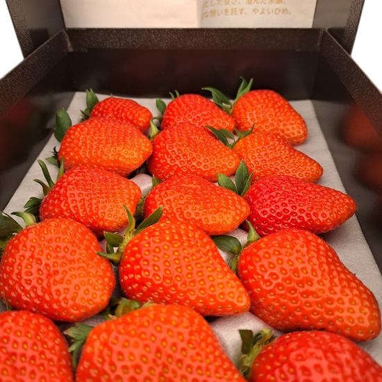 やよいひめ 15粒|プレミアムギフトいちご(贈答用)|群馬県産|