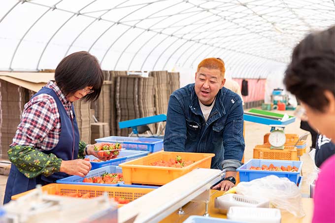 朝採れたいちごをすぐに出荷 新鮮で安全ないちごをお届けします